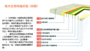 泰安市裕丰科技 融合计算机技术开发，引领健康寝具新篇章